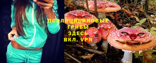 стаф Абаза